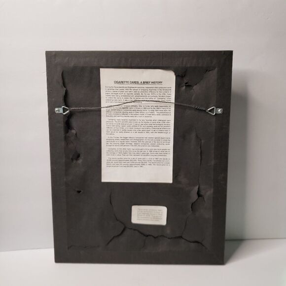 Players Cigarette Cards Game Birds & Water Fowl - Picture 8 of 11